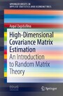 High-Dimensional Covariance Matrix Estimation - An Introduction to Random Matrix Theory