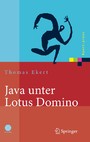 Java unter Lotus Domino - Know-how für die Anwendungsentwicklung