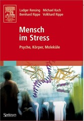 Mensch im Stress Mensch im Stress